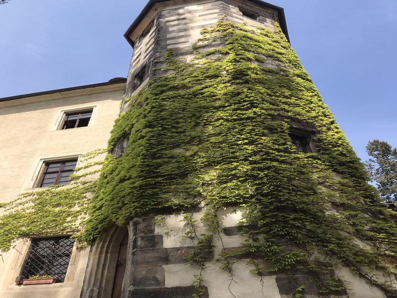 benesov nad ploucnici