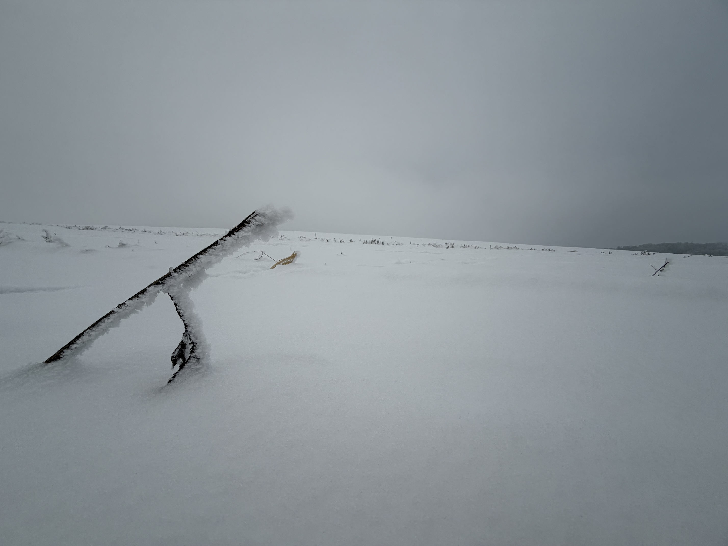 vítova rozhledna 04